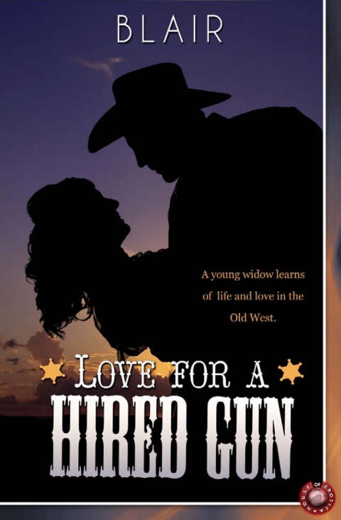 Cover image for book Love for a Hired Gun