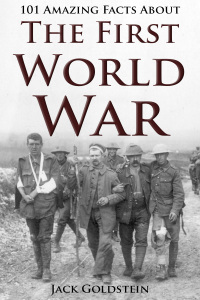 Titelbild: 101 Amazing Facts about The First World War 1st edition 9781785383502