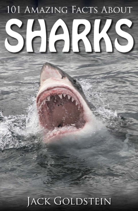 Cover image for book 101 Amazing Facts about Sharks