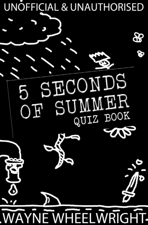 Cover image for book 5 Seconds of Summer Quiz book