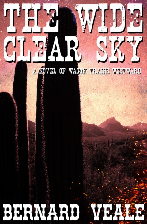 Cover image for book The Wide Clear Sky