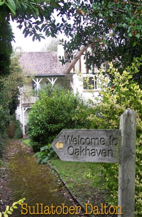 Cover image for book Welcome to Oakhaven