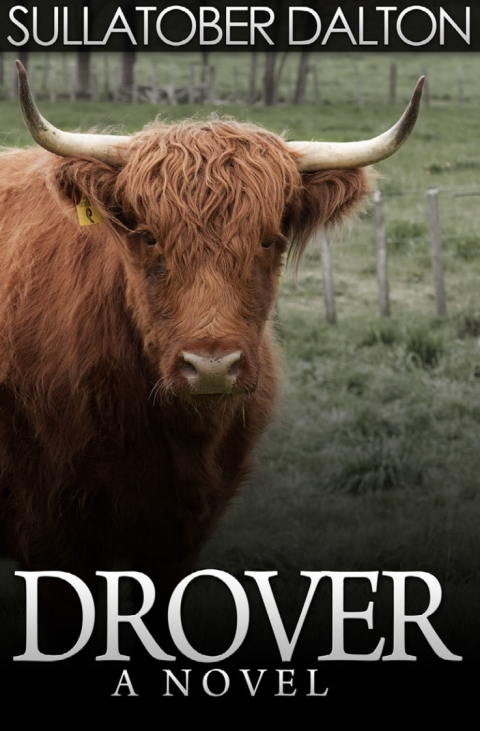 Cover image for book Drover