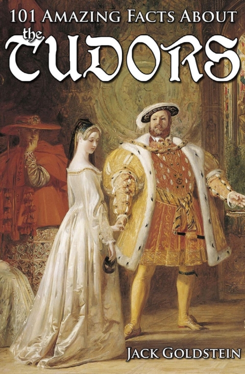 Cover image for book 101 Amazing Facts about the Tudors