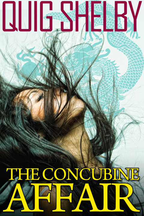 Cover image for book The Concubine Affair