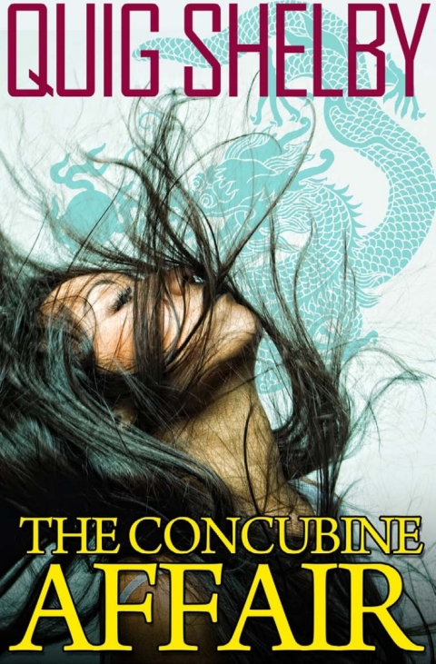 Cover image for book The Concubine Affair