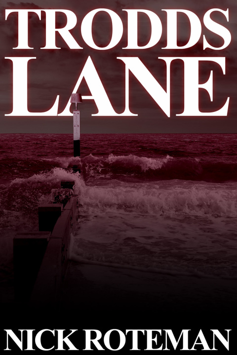 Cover image for book Trodds Lane