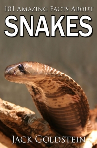 Cover image: 101 Amazing Facts about Snakes 1st edition 9781783336074