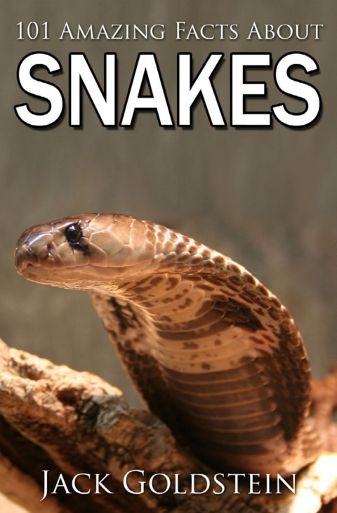 Cover image for book 101 Amazing Facts about Snakes