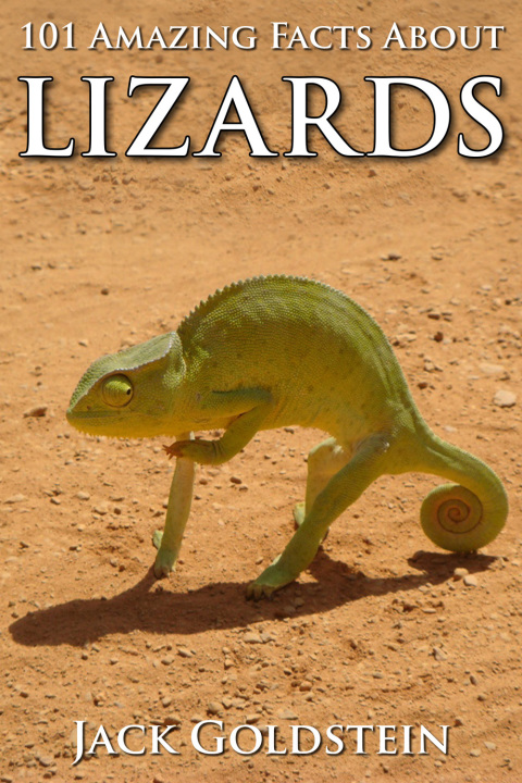 Cover image for book 101 Amazing Facts about Lizards