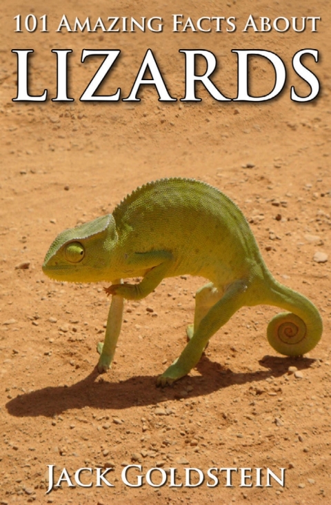 Cover image for book 101 Amazing Facts about Lizards