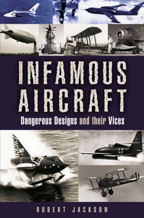 Cover image for book Infamous Aircraft