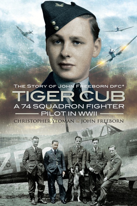 Cover image for book Tiger Cub