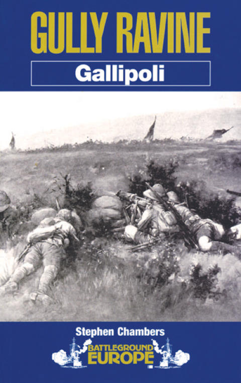 Cover image for book Gully Ravine