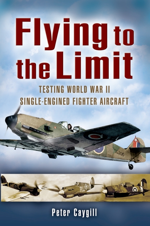 Cover image for book Flying to the Limit