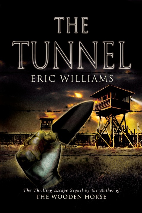 Cover image for book The Tunnel