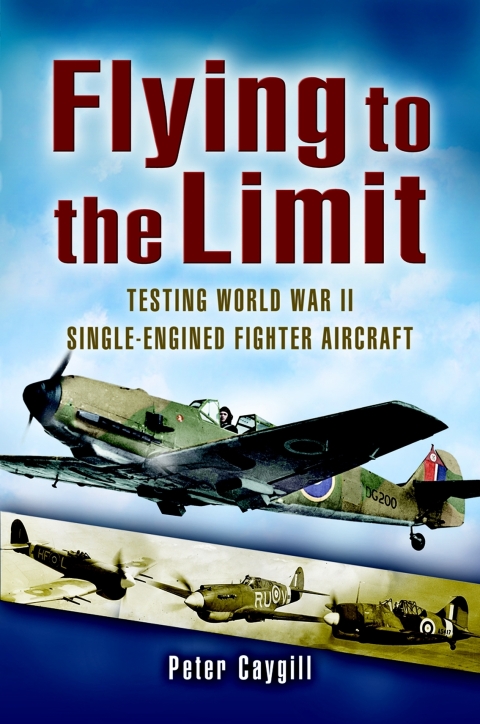 Cover image for book Flying to the Limit