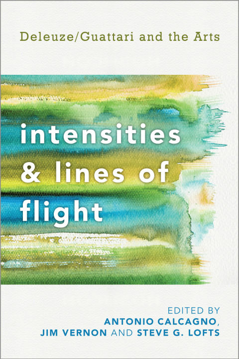 Cover image for book Intensities and Lines of Flight