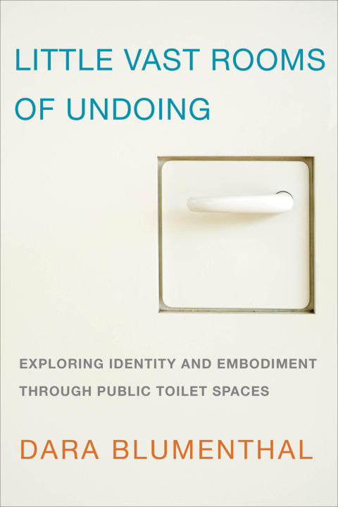 Cover image for book Little Vast Rooms of Undoing