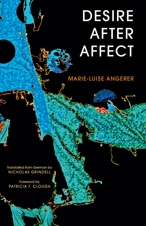Cover image for book Desire After Affect