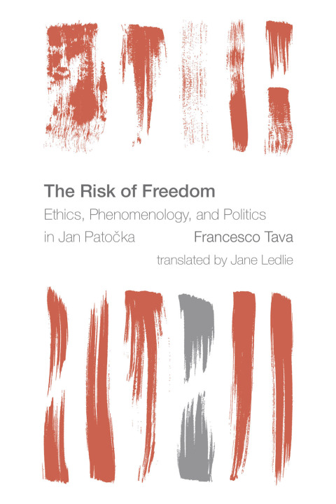 Cover image for book The Risk of Freedom