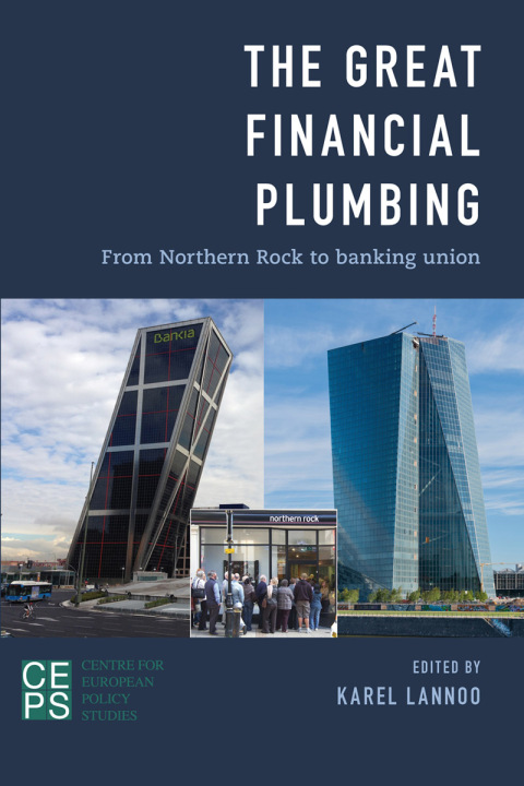 Cover image for book The Great Financial Plumbing