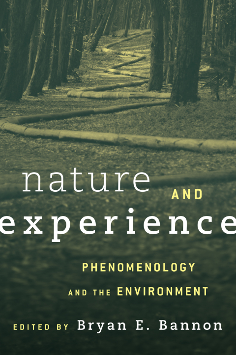 Cover image for book Nature and Experience
