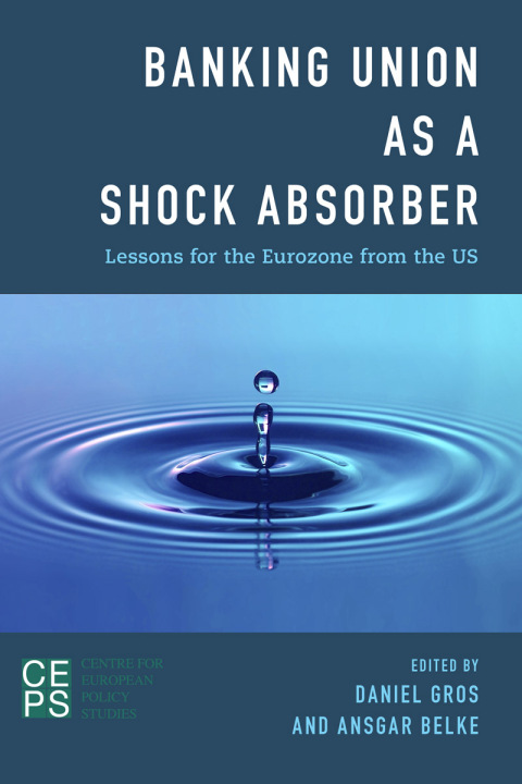 Cover image for book Banking Union as a Shock Absorber