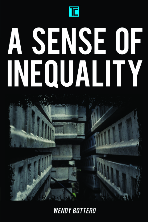 Cover image for book A Sense of Inequality