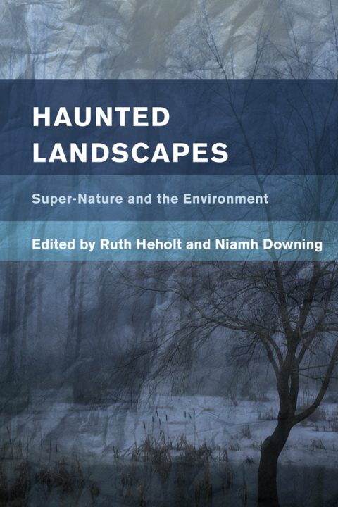 Cover image for book Haunted Landscapes