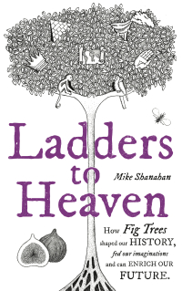 صورة الغلاف: Ladders to Heaven 9781783525805