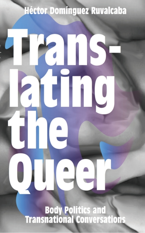 Cover image for book Translating the Queer