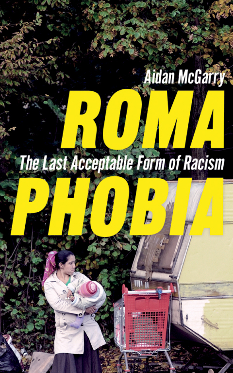 Cover image for book Romaphobia