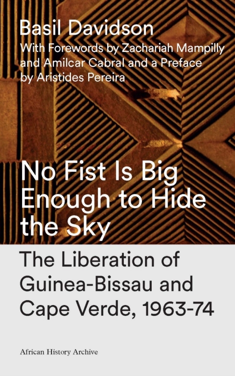 Cover image for book No Fist Is Big Enough to Hide the Sky