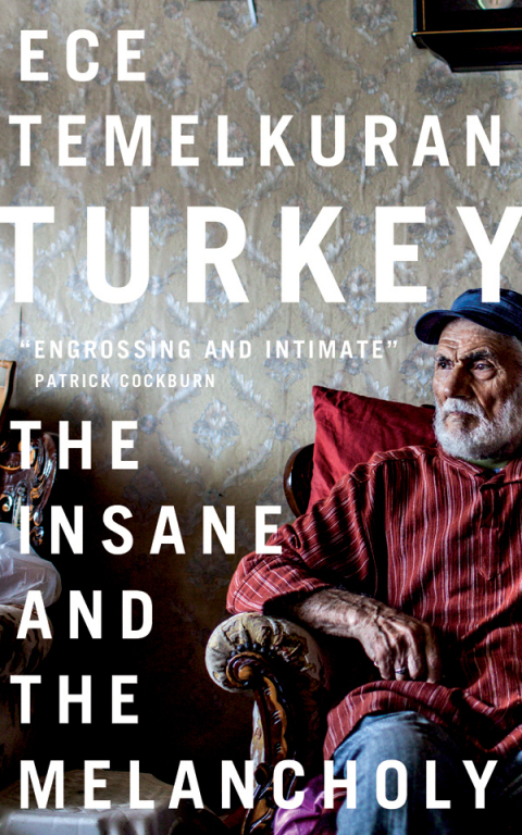 Cover image for book Turkey