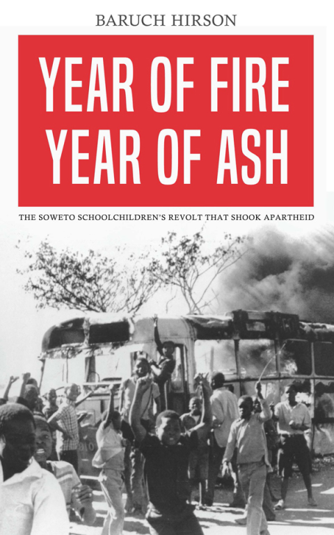 Cover image for book Year of Fire, Year of Ash
