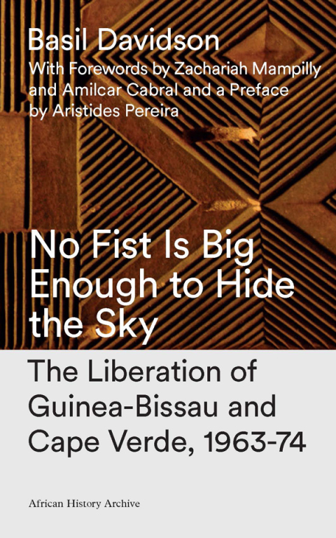 Cover image for book No Fist Is Big Enough to Hide the Sky