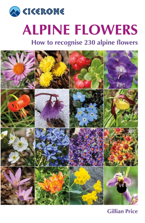 Cover image for book Alpine Flowers