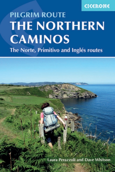 Cover image for book The Northern Caminos