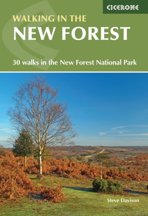 Walking in the New Forest 