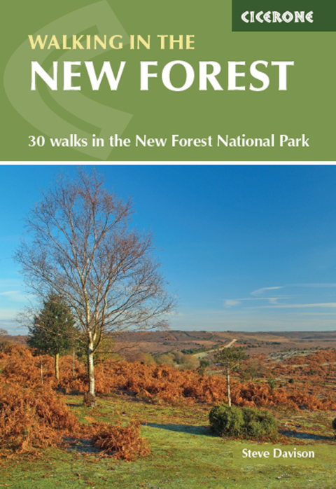 Walking in the New Forest 
