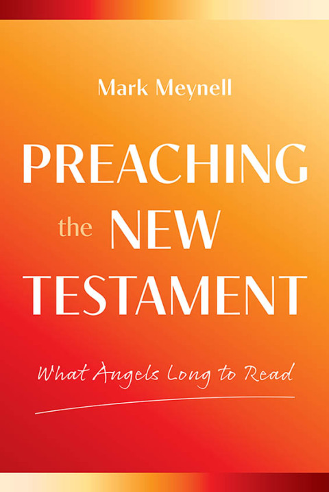 Cover image for book What Angels Long to Read
