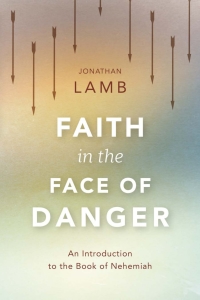 Cover image: Faith in the Face of Danger 9781783688913