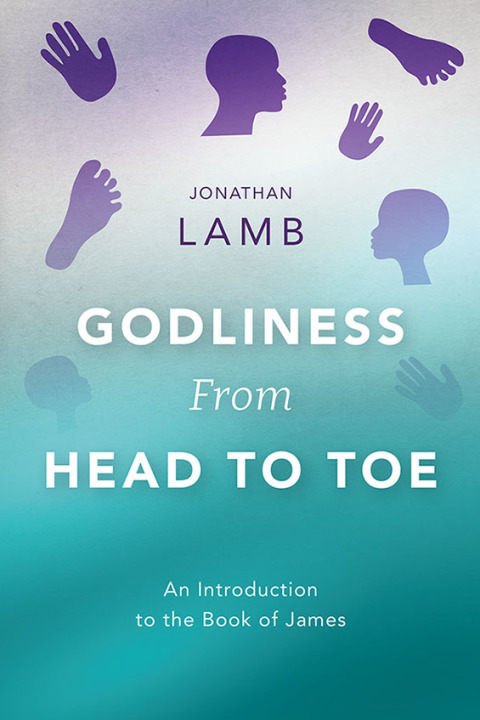 Cover image for book Godliness from Head to Toe
