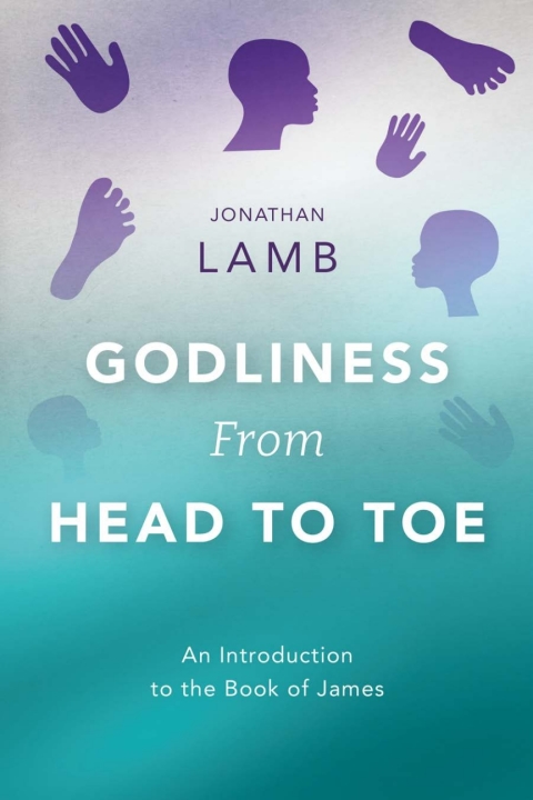 Cover image for book Godliness from Head to Toe