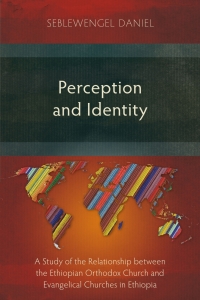 Cover image: Perception and Identity 9781783686346