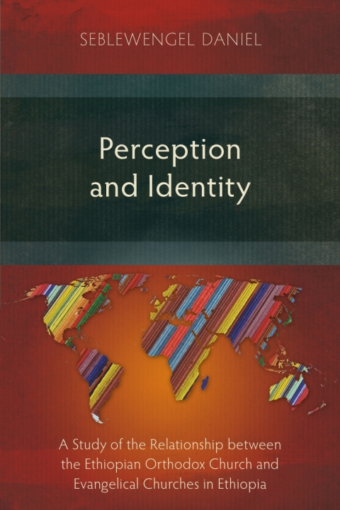 Cover image for book Perception and Identity