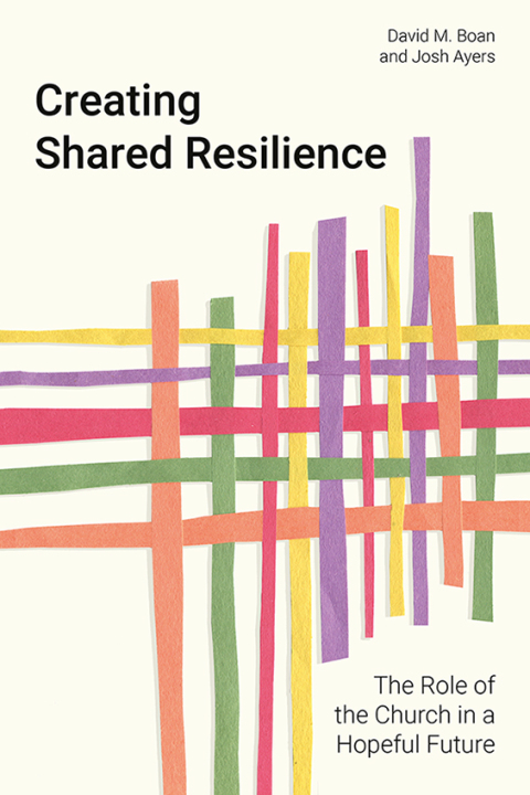 Cover image for book Creating Shared Resilience