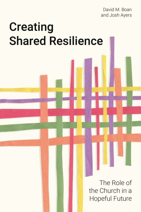 Cover image for book Creating Shared Resilience