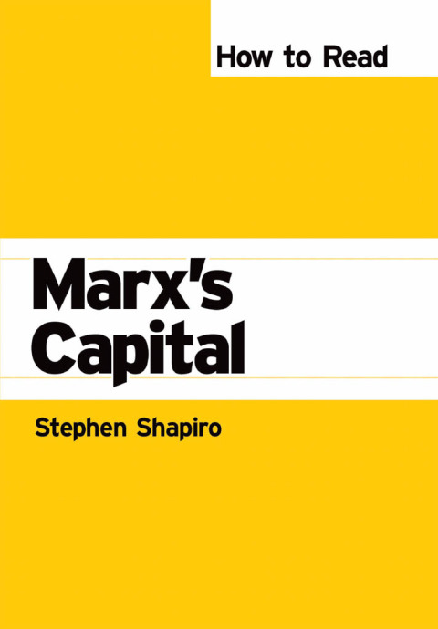 Cover image for book How to Read Marx's Capital
